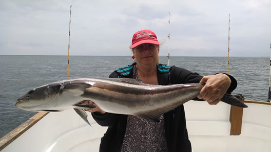 Catch of the 2014 Summer Season